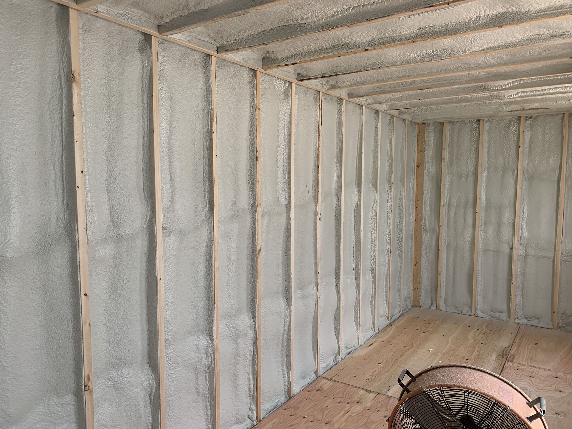 Photograph of Walls & Ceilings